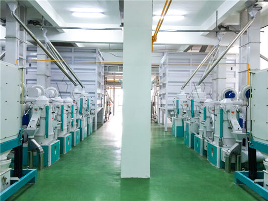 automatic rice mill plant cost