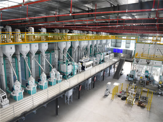paddy and rice processing machines