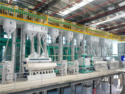 Rice Processing Plant Cost