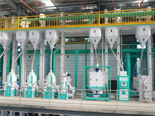 New Rice Mill Plant