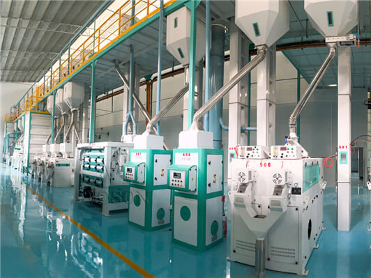 Complete Rice Processing Machine